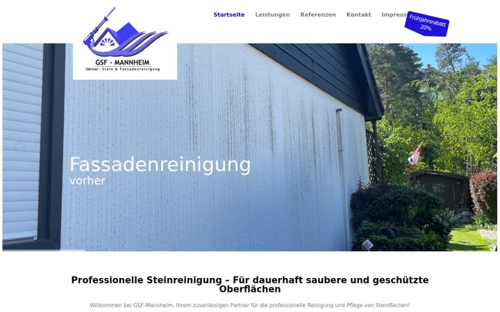 Screenshot of gsf-mannheim.de