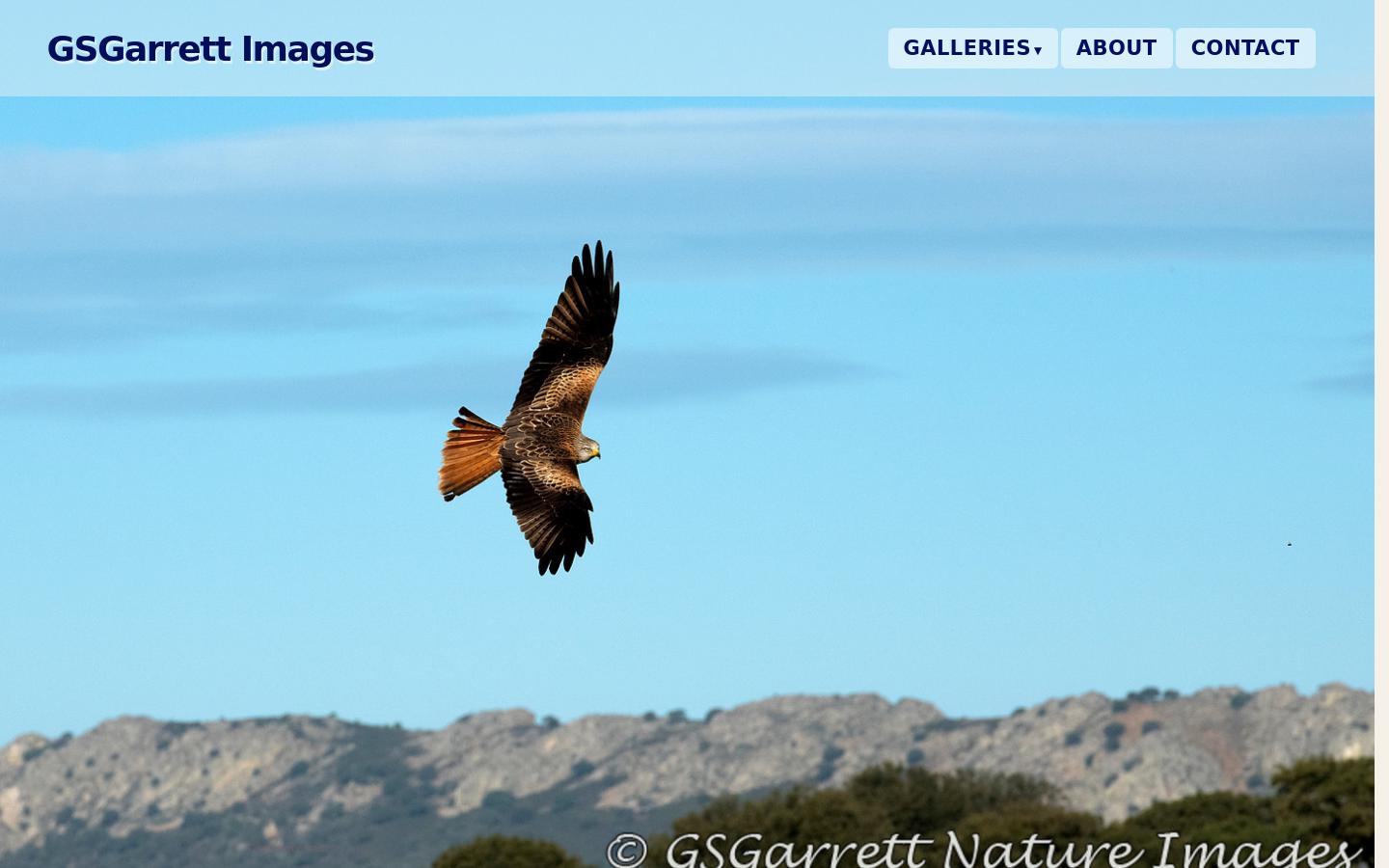 Screenshot of gsgarrett.com