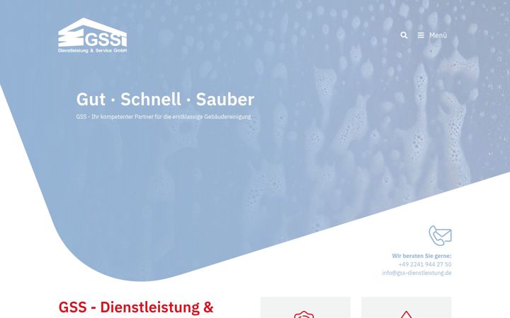 Screenshot ta' gss-dienstleistung.de