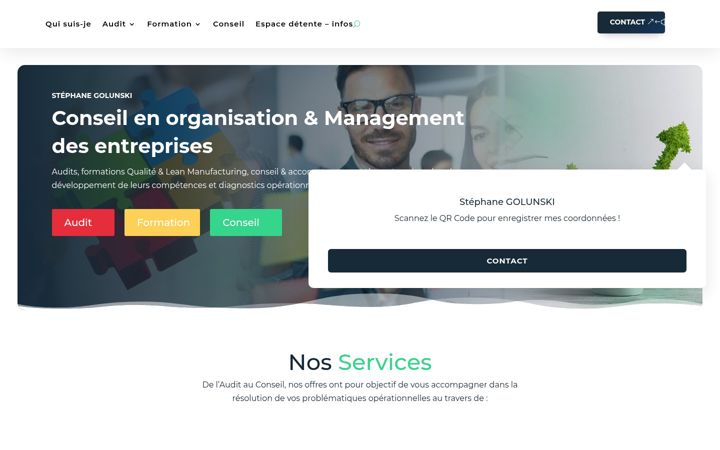 Screenshot of gstconsulting.fr