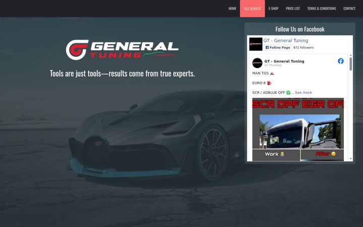 Screenshot of gtchip4u.com