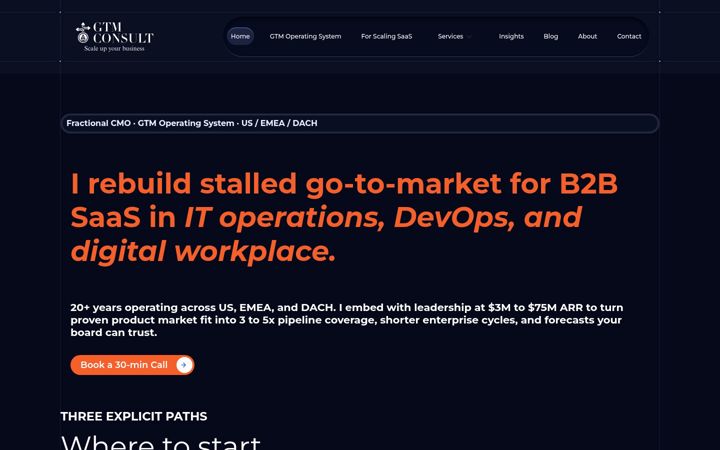 Screenshot of gtm-consult.com