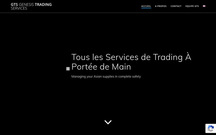 Screenshot of gts-log.fr