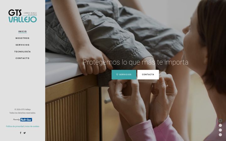 Screenshot of gtsvallejo.com