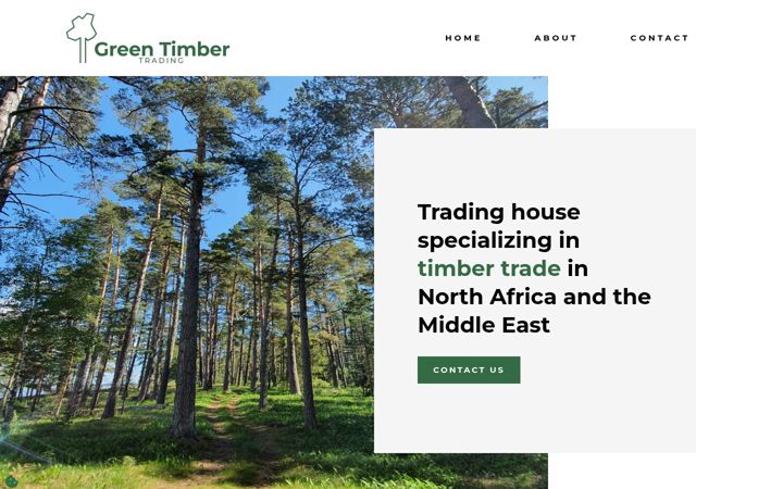 Screenshot of gtt.fi