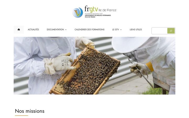 Screenshot of gtvidf.fr