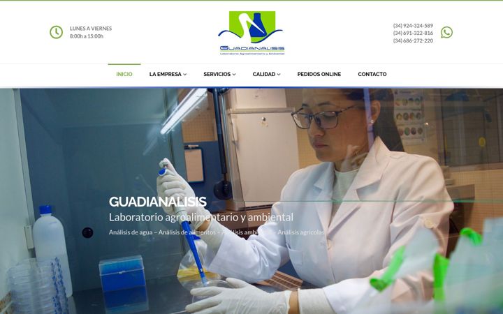 Screenshot of guadianalisis.es