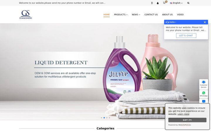 Screenshot of guangshengtek.com