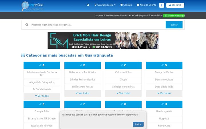 Snímek obrazovky guaratinguetaonline.com.br
