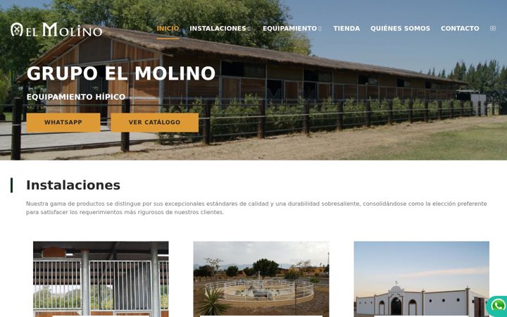 Screenshot of guarnicioneriaelmolino.com