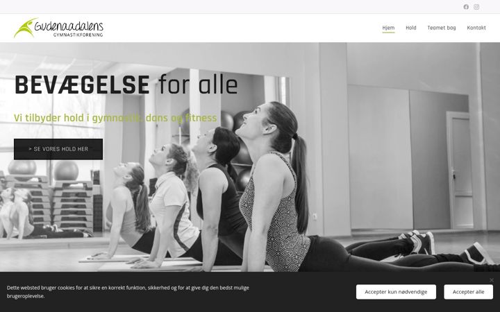 Screenshot of gudenaadalensgymnastikforening.dk