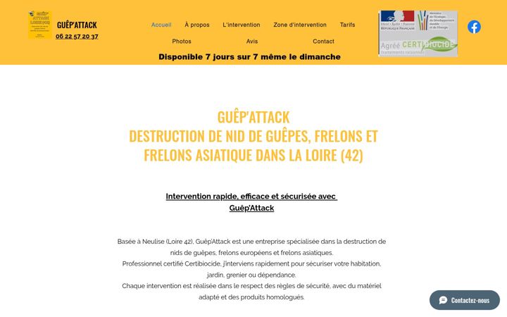Screenshot of guepattack.fr