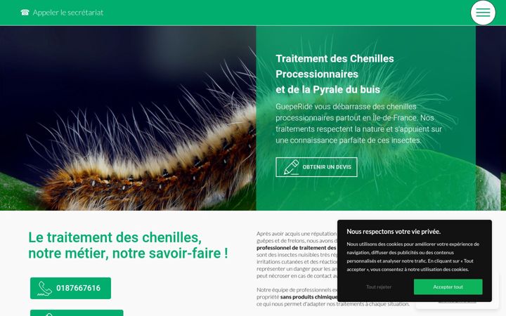 Screenshot of guepe-ride-chenille.fr