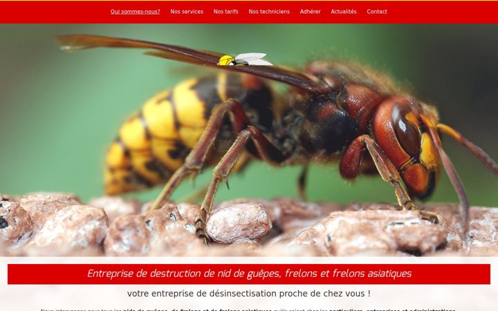 Screenshot of guepes-apens.fr