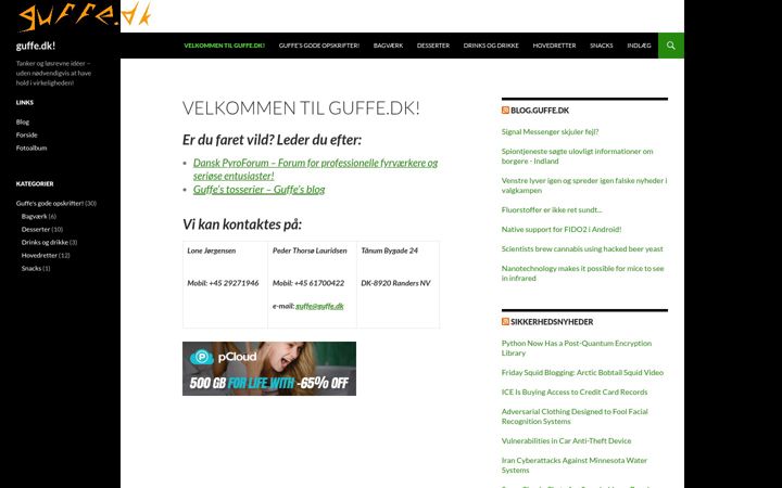 Screenshot of guffe.dk