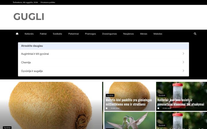Screenshot of gugli.lt