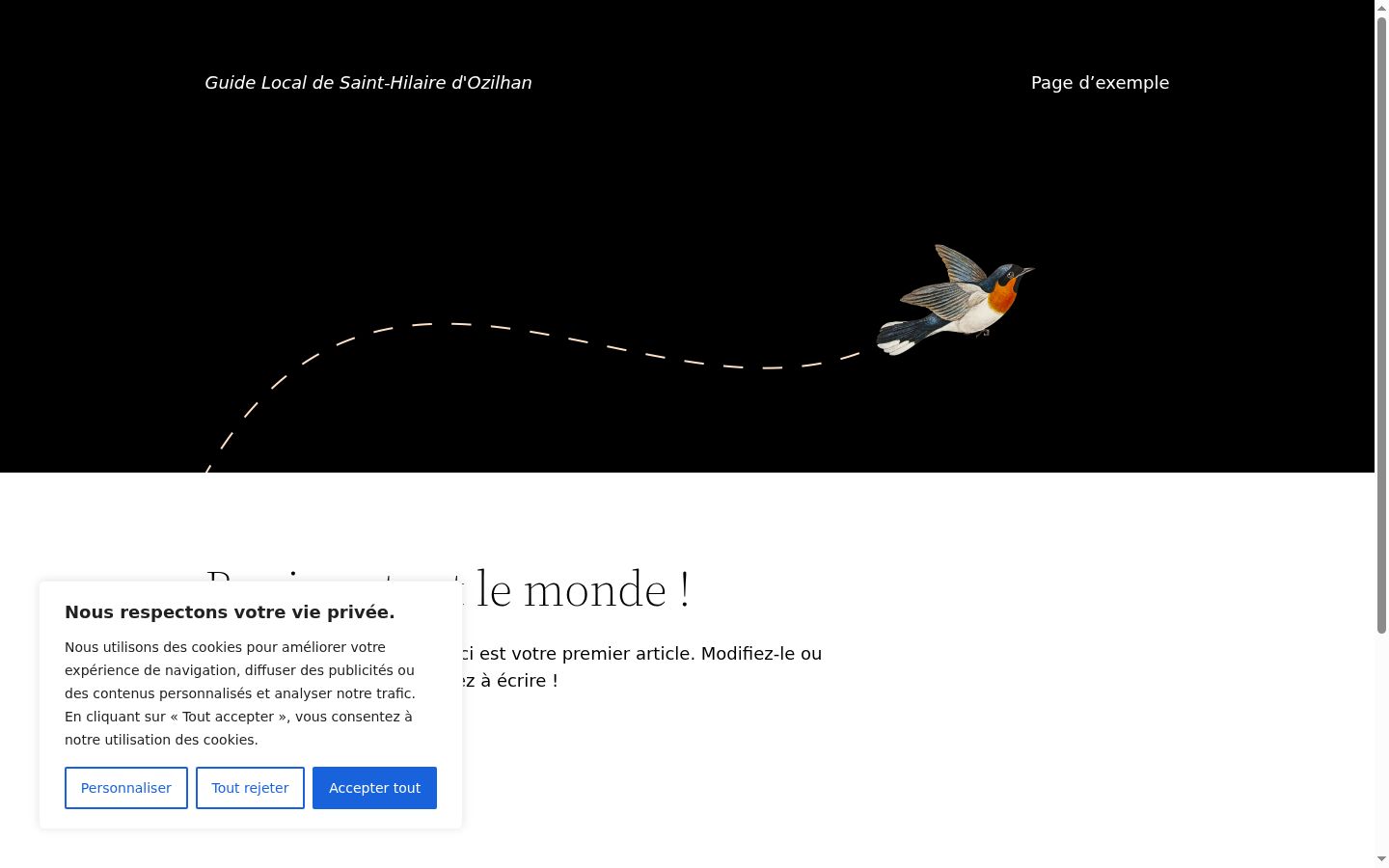 Screenshot of the consent banner shown before any interaction