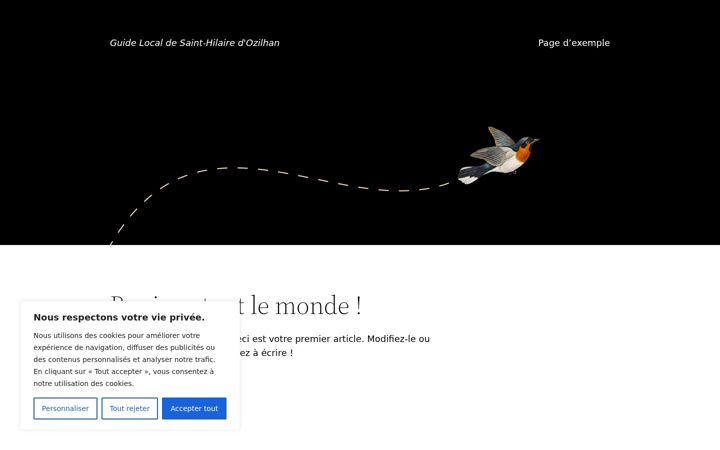 Screenshot of guide-local.org