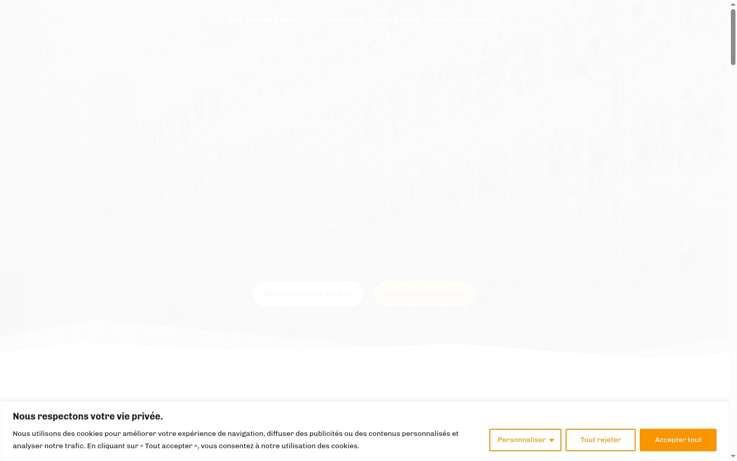 Screenshot του banner συγκατάθεσης που εμφανίστηκε πριν από οποιαδήποτε αλληλεπίδραση