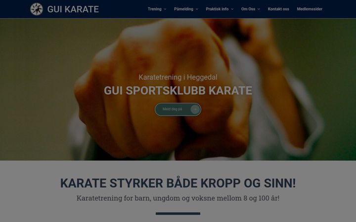 Screenshot of guikarate.no
