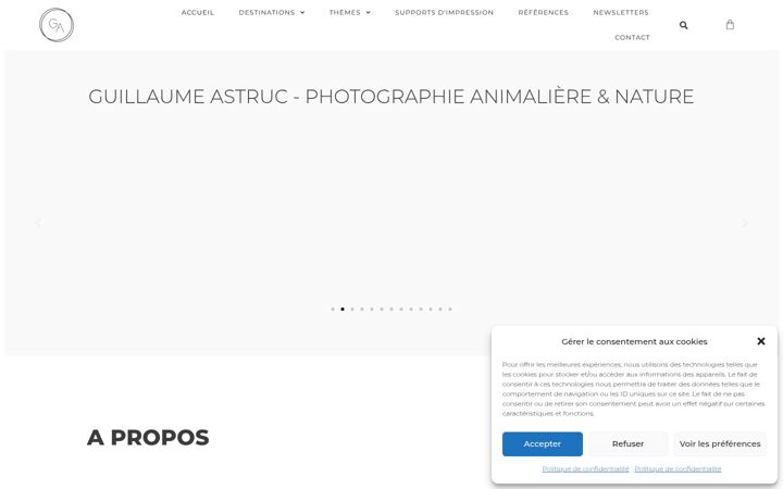 Screenshot του guillaumeastrucphotography.com