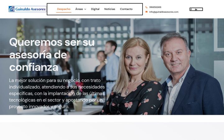 Screenshot of guinaldoasesores.com