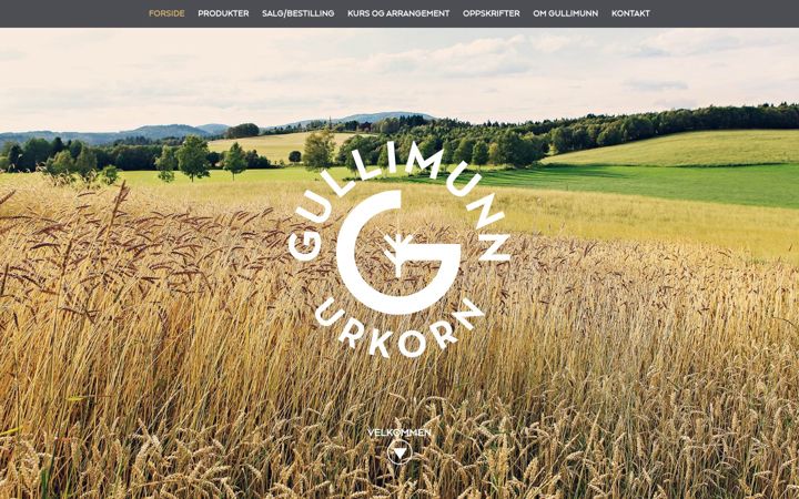 Screenshot of gullimunn.no