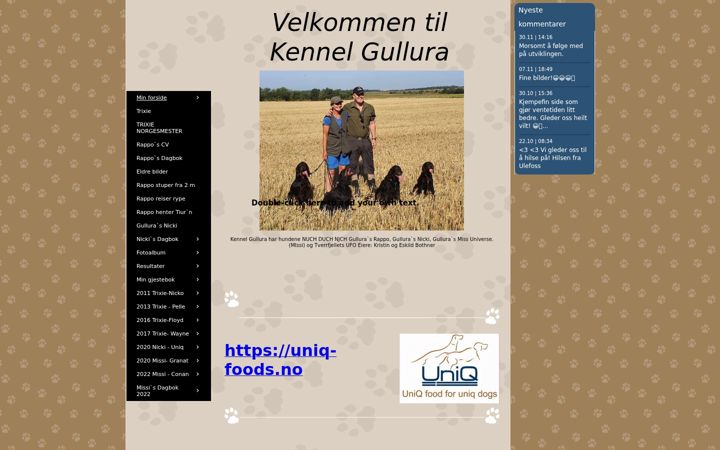 Screenshot of gullura.com