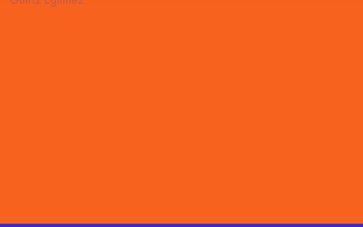 Screenshot of gulrizegilmez.com