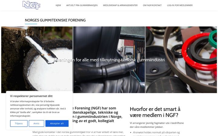 Screenshot of gummiforeningen.no