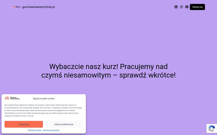 Screenshot of gumowanawierzchnia.pl