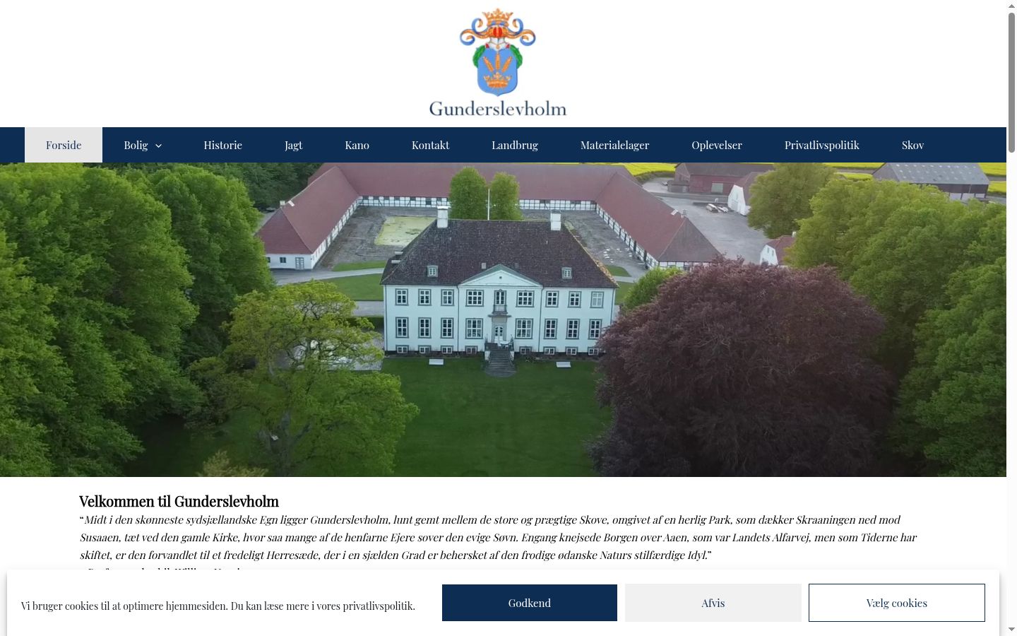 Skærmbillede af samtykkebanneret, som det blev vist før nogen interaktion