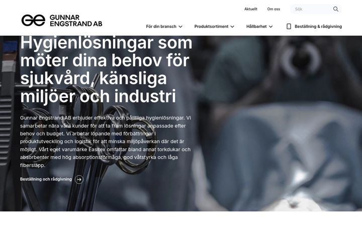 Screenshot of guneng.se
