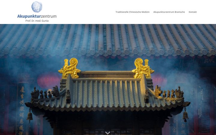 Screenshot of gunia-akupunktur.com