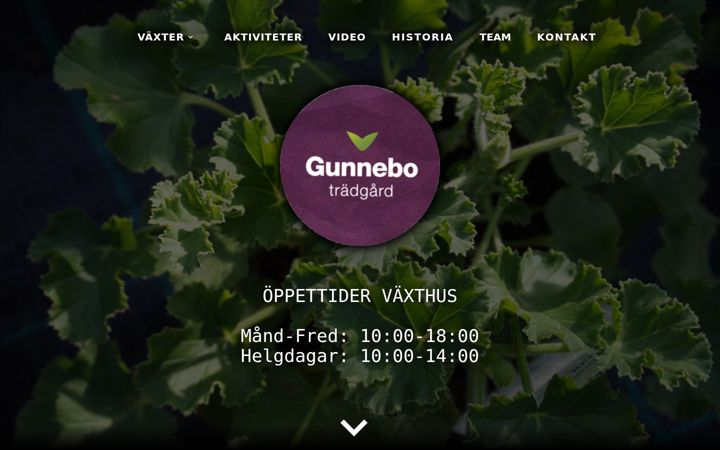 Screenshot of gunnebotradgard.com