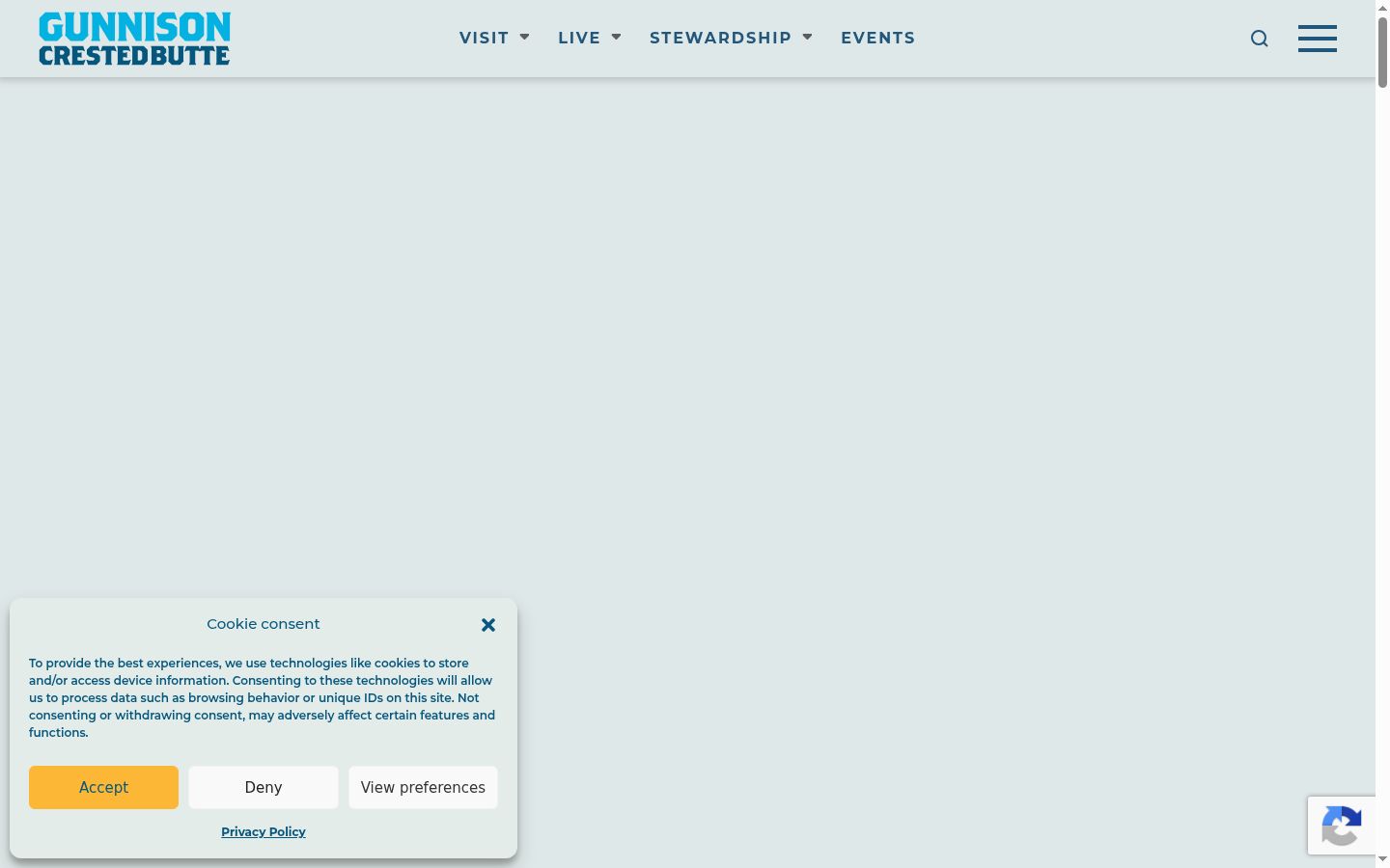 Screenshot of the consent banner shown before any interaction