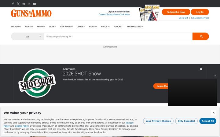Screenshot of gunsandammo.com
