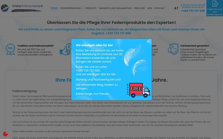 Screenshot of gunstige-federnreinigung.at
