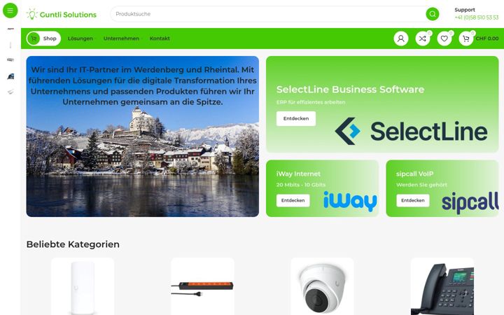 Screenshot of guntli-solutions.ch