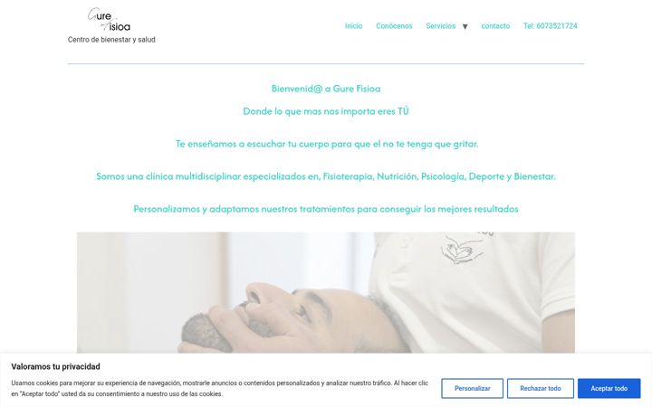 Screenshot of gurefisioa.com