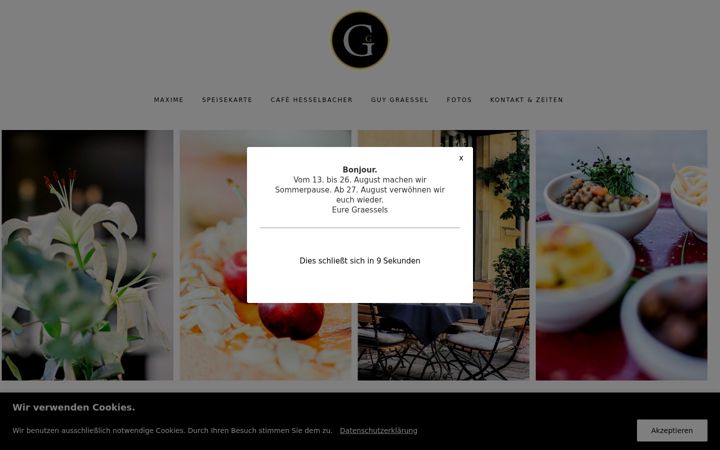 Screenshot of guy-graessel.de