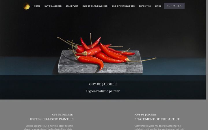Screenshot of guydejaegher.be