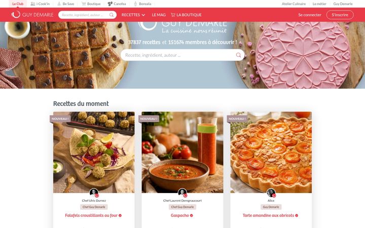 Screenshot of guydemarle.com