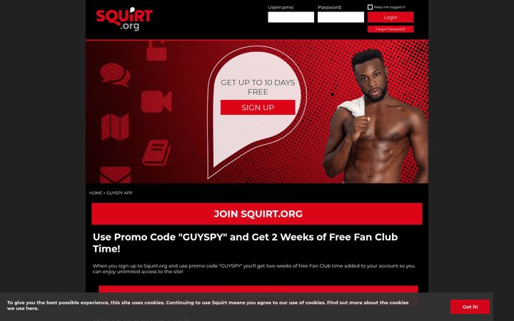Screenshot of guyspy.com