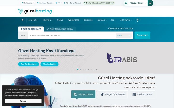 Screenshot van guzelhosting.com