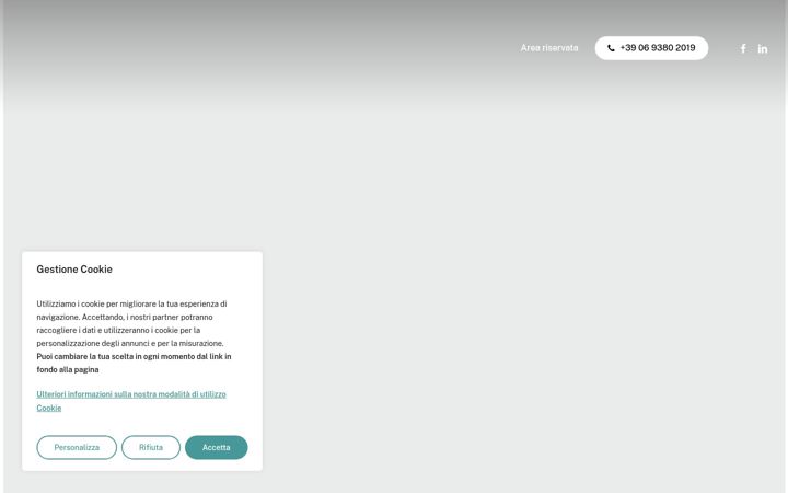 Screenshot of gvngroup.it
