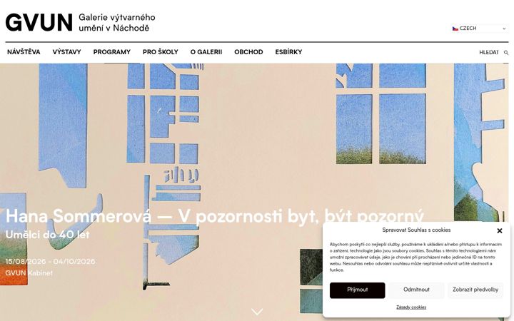 Screenshot of gvun.cz