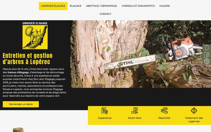 Screenshot of gwinverelagage.fr