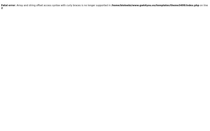 Screenshot of gwk4you.eu