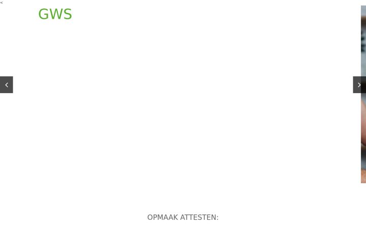 Screenshot of gws-epc.be